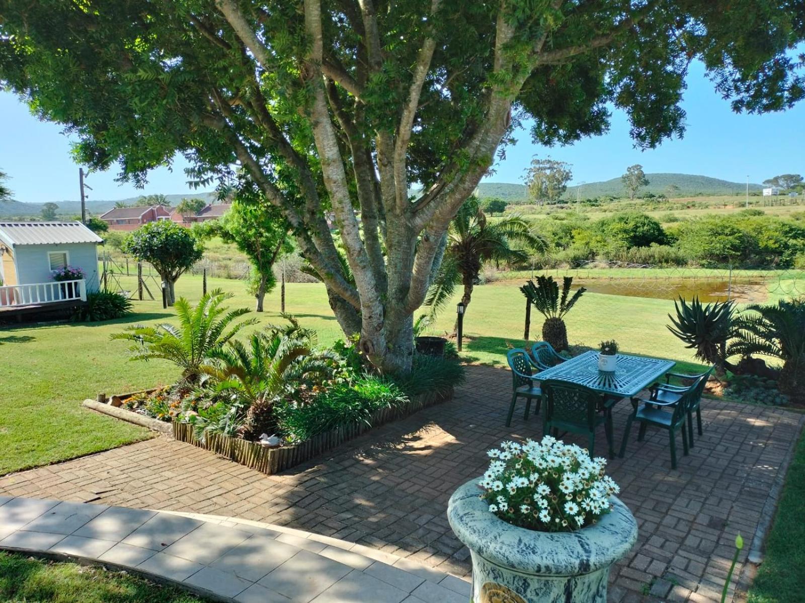 Little Tree Loft 2 Bed & Breakfast Uitenhage Exterior photo